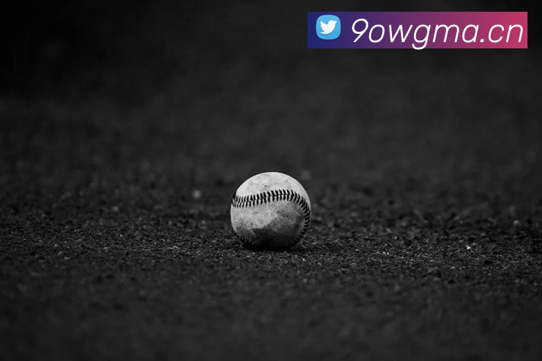 星空网页版登录界面平台生态图